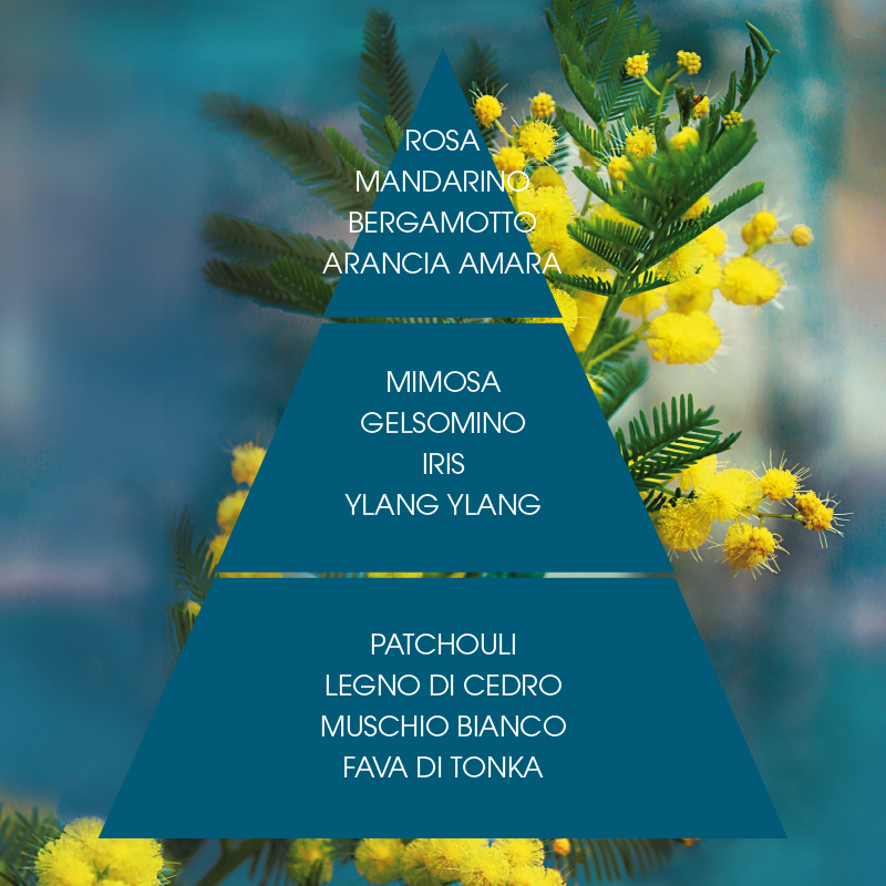 L'amande Deo spray Mimosa suprema Convenienza