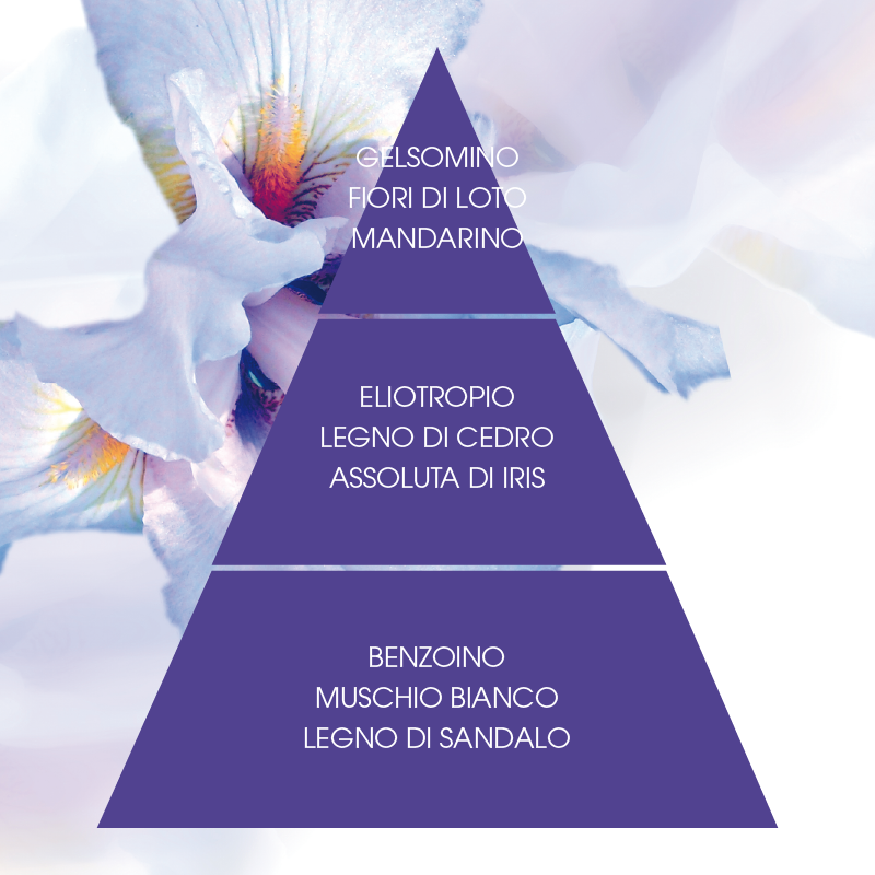 L'amande Crema corpo Iris supremo In Vendita