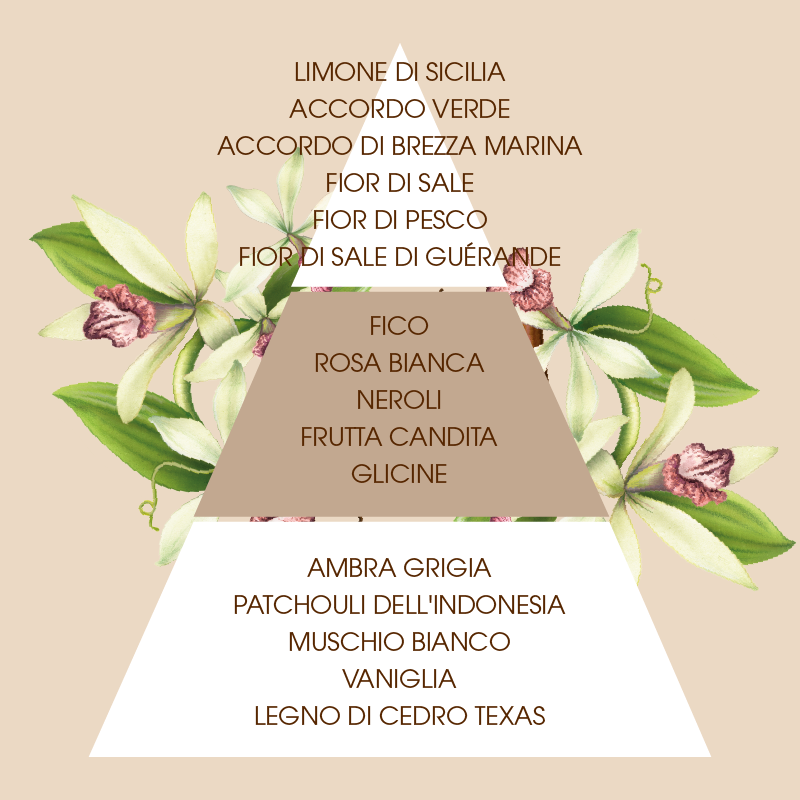 L'amande Crema corpo Fleur de Sel & Vanille Offerte