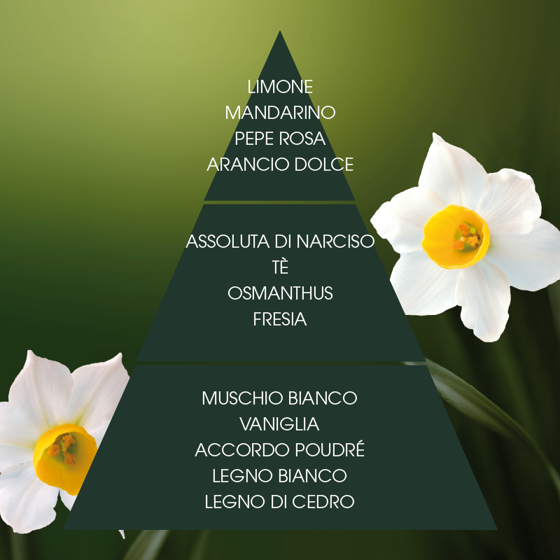 L'amande Crema corpo Narciso supremo Promozione