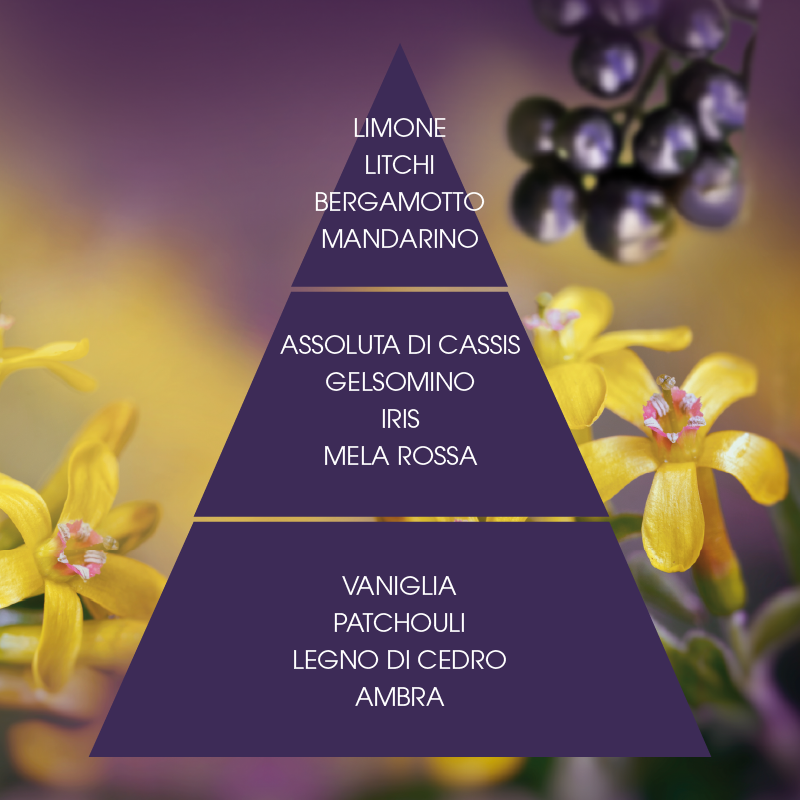 L'amande Crema corpo Cassis supremo Spedizione Gratuita