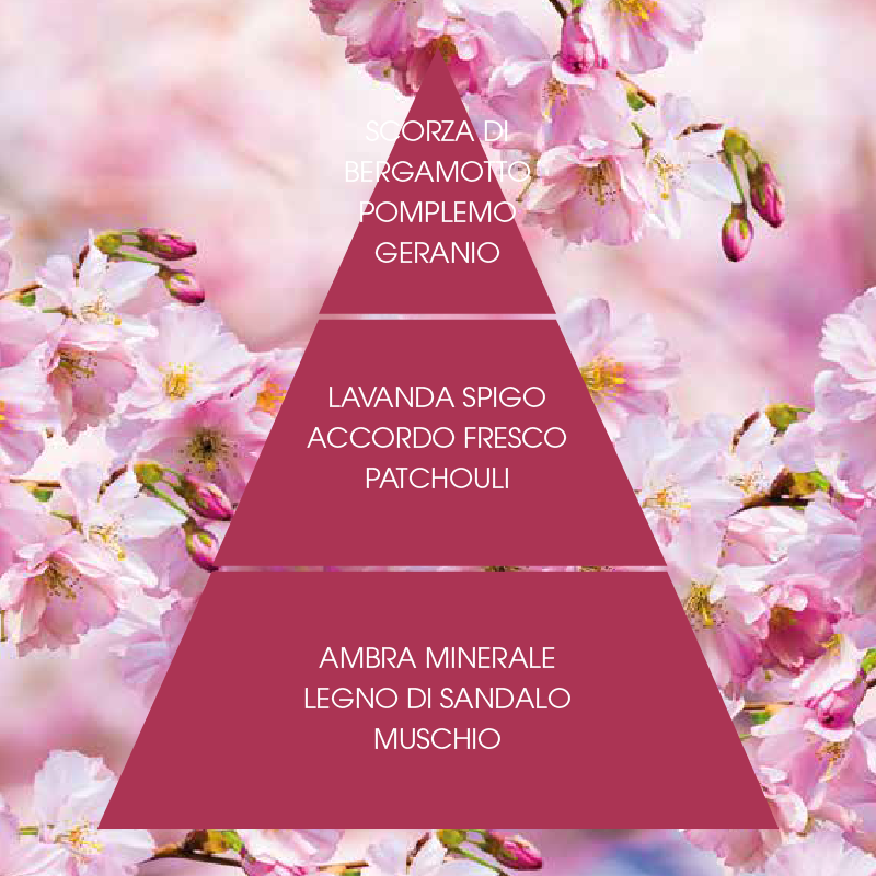 L'amande Crema corpo Gemme rosse Promozione Limitata