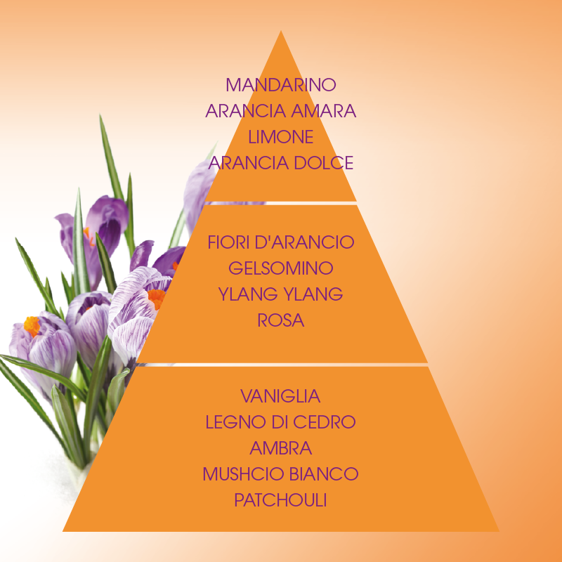 L'amande Crema corpo Armonie Prezzo Ridotto