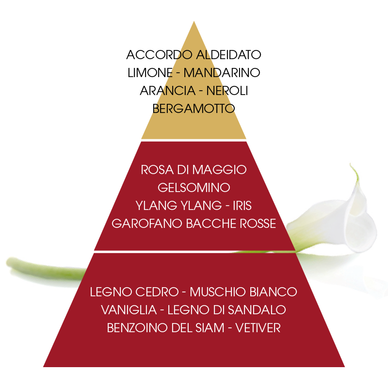 L'amande Detergente liquido Calla I Più Venduti