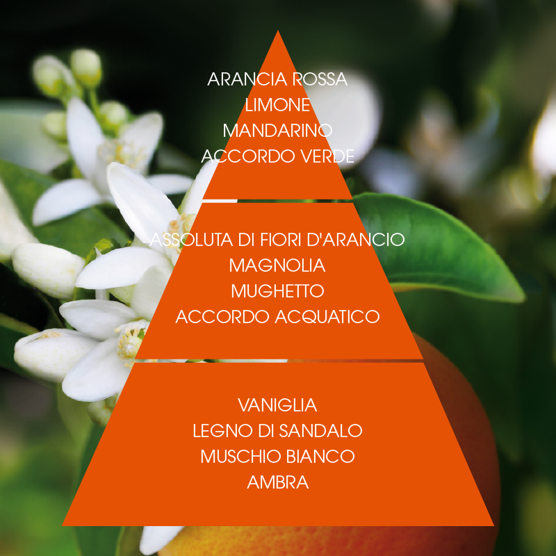 L'amande Sapone profumato Fior d'arancio supremo 2025
