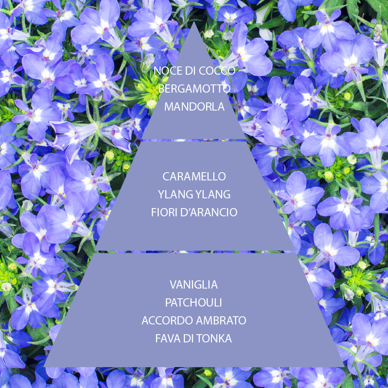L'amande Bagno doccia Fiori di Zaffiro Promozione