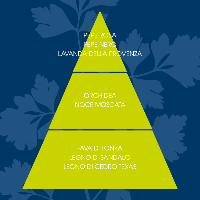 L'amande Schiuma da barba Coriandolo Vendita