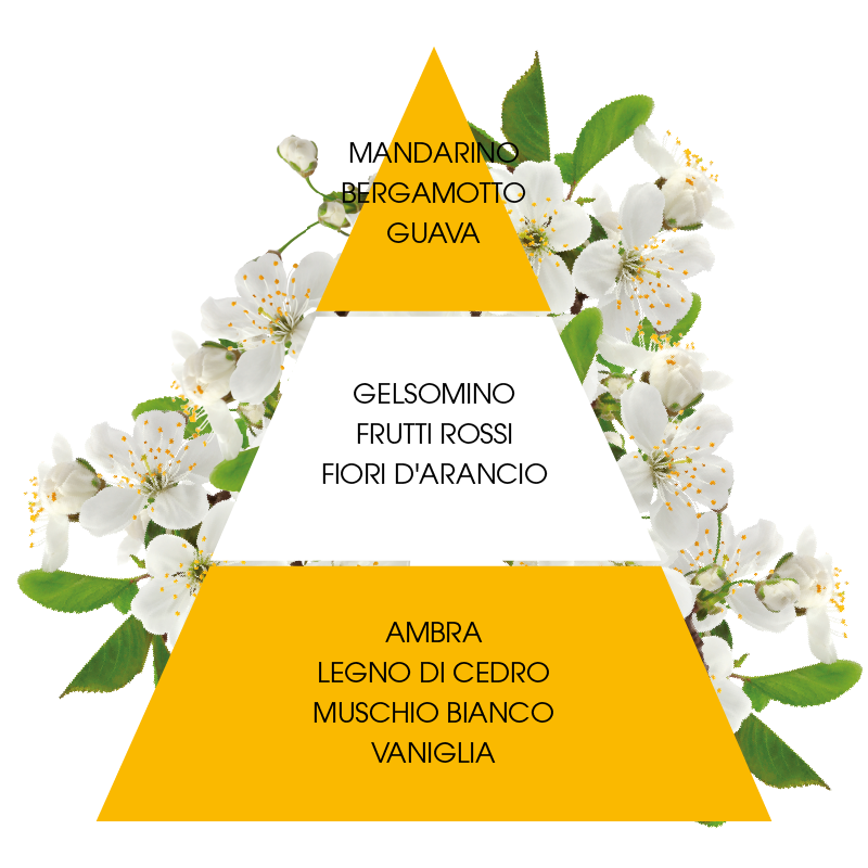 L'amande Profumatore per ambiente Fiori di ciliegio Convenienza