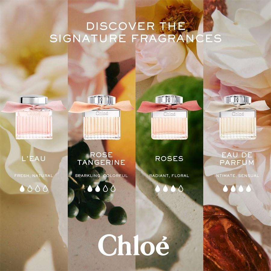 Chloé Chloé Eau de Parfum Spray Offerta esclusiva