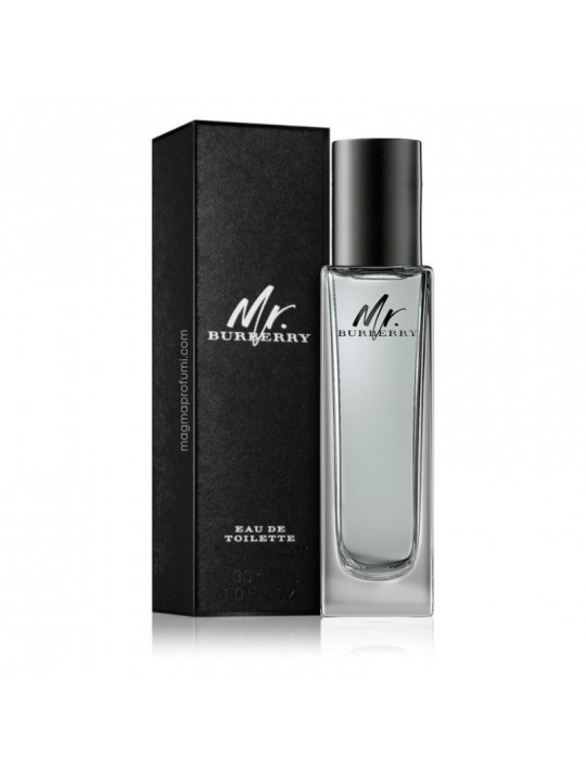 Burberry Mr. Burberry Eau de Toilette